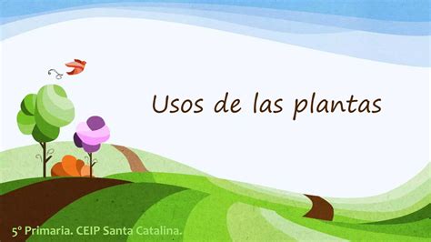 Usos De Las Plantas Ppt