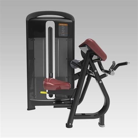 AEW Biceps Curl Machine For Gym At Rs 53730 In Udaipur ID 14451709097