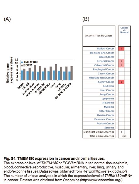 Significant Antitumor Effect Of An Antibody Against Tmem180 A New