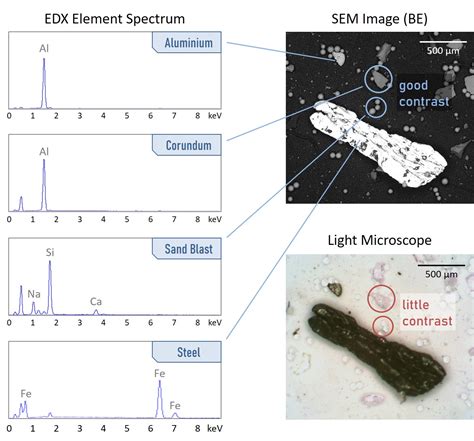 Particlex Sem Edx Sauberkeitsanalyse Rjl Micro Analytic