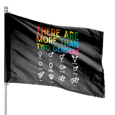 There Are More Than Two Genders Symbols Rainbow LGBT Flag House Flags