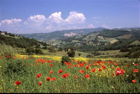 Teora Restate Con Noi Sistema Irpinia