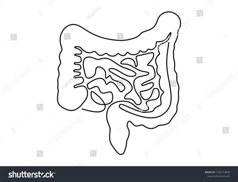 Intestines drawing Images, Stock Photos & Vectors | Shutterstock