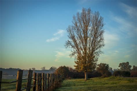 Pueblos Para Visitar En Invierno En Huelva 2024 PueblosBonitos