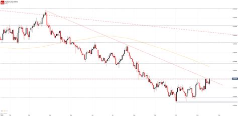 Canadian Dollar Forecast Usd Cad Cad Jpy Nzd Cad Levels