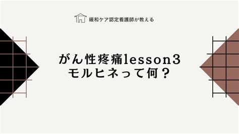 スピリチュアルペインを学ぶなら村田理論がオススメ！精神的苦痛との違いを知ってスピリチュアルケアをしよう！ しぽさんぽ