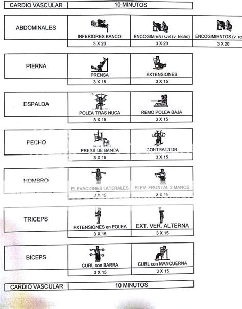 Terapia Neural Para Bajar De Peso Rutinas Y Dietas Para Gym