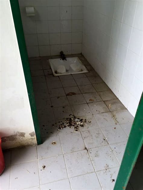 Il Degrado Del Percorso Verde Bagni Pubblici Inutilizzabili