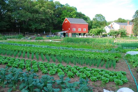 Dinner On The Farm Newton Ma Patch