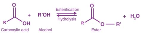 Cleavage Of O H Bond Esterification Acylation Reaction With Acid