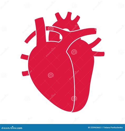 Human Heart Logo Stock Vector Illustration Of Cardiac 225963662