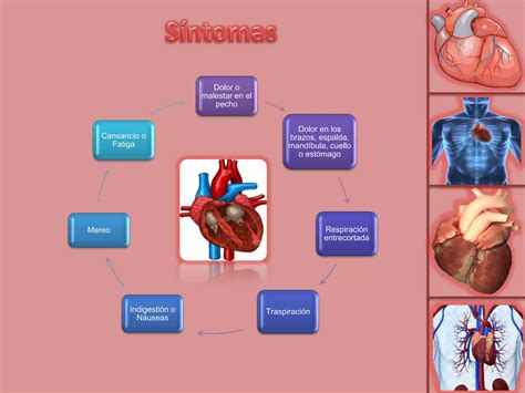 El Corazón Enfermedades Y Síntomas Ppt