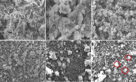 Sem Image Of Cobalt Ferrite A B Graphitic Carbon Nitride C D