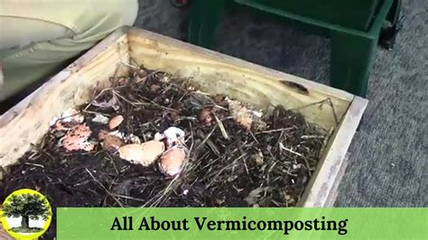 How to Start Vermicomposting - YouTube