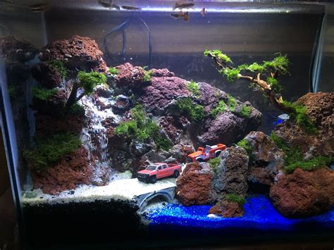 Lava rock design | Aquascape, Fish aquarium decorations, Aquarium fish