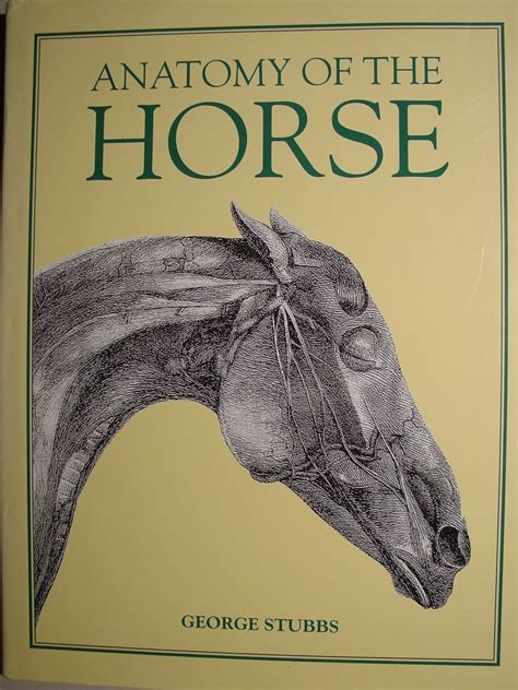 Anatomy Of The Horse Stubbs George 9780831780432 Books Amazonca