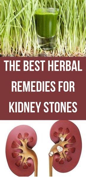 The Best Herbal Remedies For Kidney Stones Herbalism