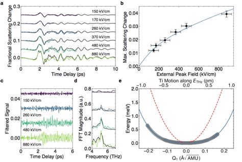 Thz Field Dependent Data And Model Calculations A Time Resolved