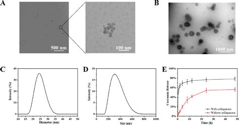 Mmp Responsive Nanoparticle Loaded Injectable Adhesive Self Healing