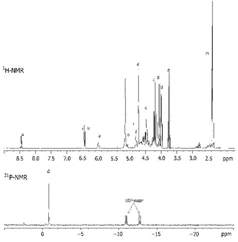 1 H And 31 P Nmr Spectra Of An Ethanolic Extract Of Pyrolobus Fumarii