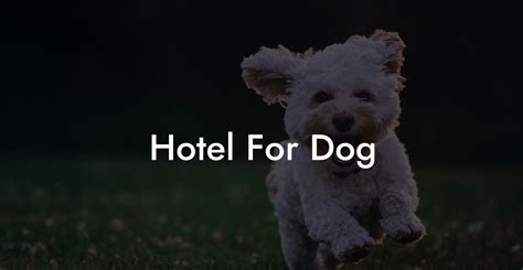 Hotel For Dog Dog Hotels