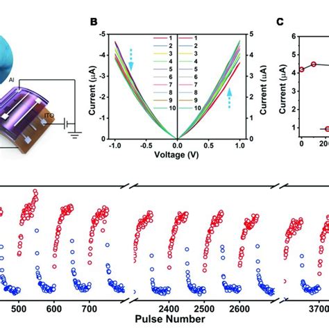 A Device Schematic Of ITO PEDOT PSS Pentacene Al Memristor And