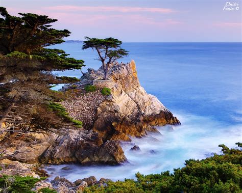 Lone Cypress Blue Dreams Artofit