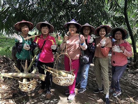 採收之際遇登革熱古坑竹筍價格波動 仍接獲國際訂單 登革熱疫情延燒 生活 聯合新聞網