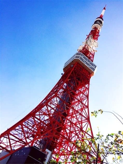 日本キッズ食育協会の設立パーティーに参加してきました。 いしない食育研究所