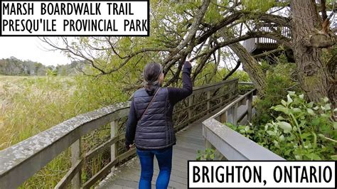 Marsh Boardwalk Trail K Nature Walk At Presqu Ile Provincial