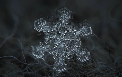 Wallpaper winter, macro, snow, fiber, snowflake for mobile and desktop ...