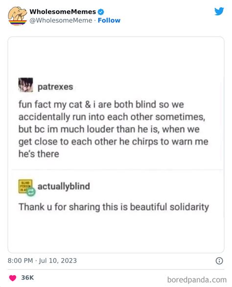 50 Wholesome Memes As Shared By This Twitter Page To Brighten Up Your