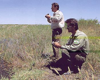 Celadores Y Agentes De La Junta Ultiman El Nuevo Censo Del Lobo Lobo