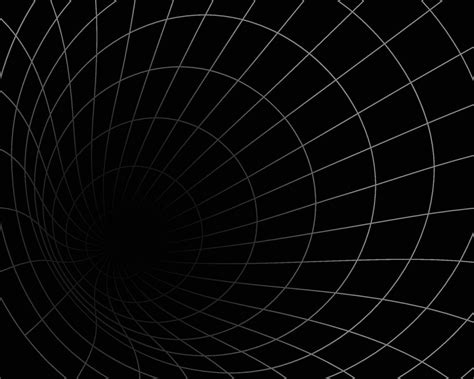 Curved Perspective Grid Curved Black Lines On A White Background