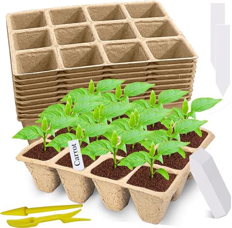 Amazon Wyewye Pcs Cells Plant Germination Trays With Plant