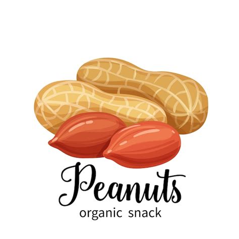 Premium Vector Peanuts In Cartoon Style