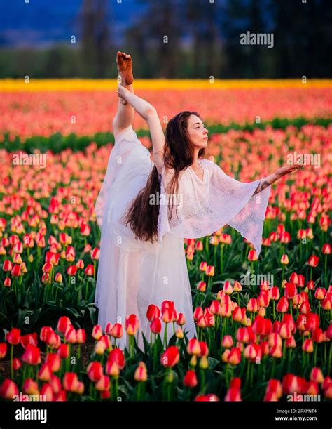 Long Haired Brunette Bending Over Backwards In Vast Tulip Field Stock Photo Alamy