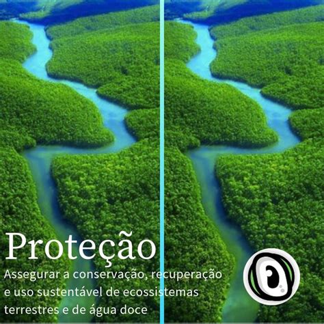 Protege Quem O Traz Consigo - Assegurar e Proteger traz segurança, bem estar e gera muita ABUNDÂNCIA ...