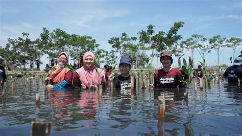 Ini Dia Kegiatan Anak Muda Cinta Lingkungan Penjaga Laut