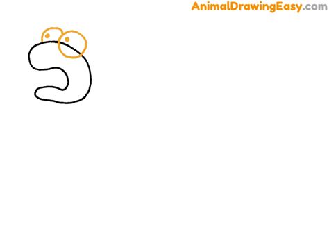 How to Draw a Bed Bug - Animaldrawingeasy.com