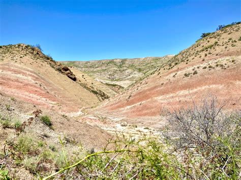 Excursi N Familiar De Un D A A Las Monta As David Gareja Y Arco Iris