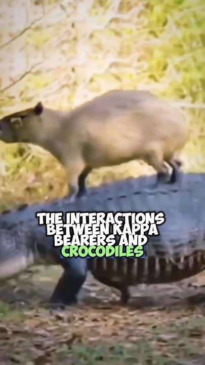 friendship  crocodiles  capybaras youtube