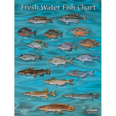 Standard Map FC002 Freshwater Fish Chart - Walmart.com