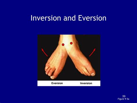 PPT Chapter 9 Articulations PowerPoint Presentation ID 176759