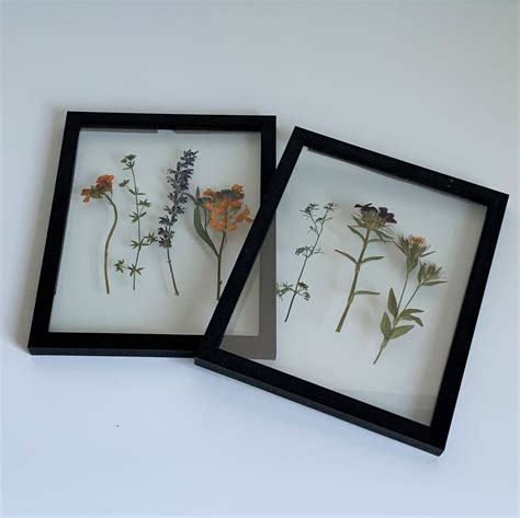 Diy Framed Dried Flowers Ivy Iron