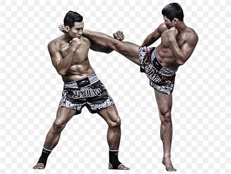 Muay Thai Brazilian Jiu Jitsu Mixed Martial Arts Kickboxing Jujutsu