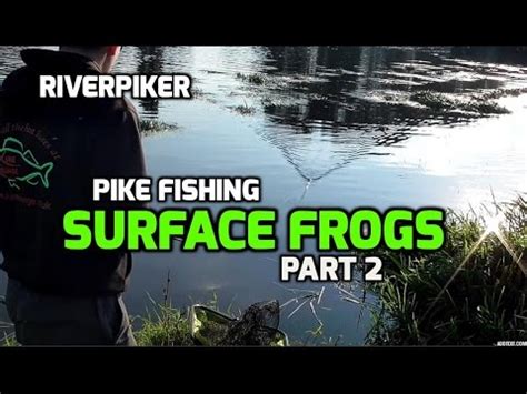 Pike Fishing With Surface Frogs Topwater Blow Ups Video Youtube