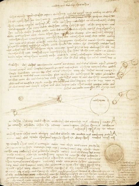 Codice Leicester In Mostra Uno Dei Documenti Più Importanti Di Leonardo