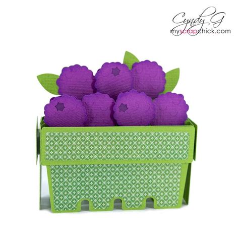 Raspberry Box Card Svg My Scrap Chick