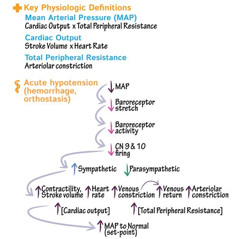 Learn about Presyncope and Syncope